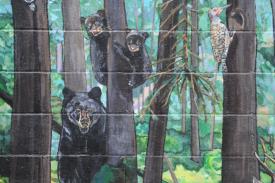 mural-detail-of-bears-woodpecker