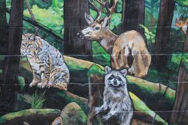 mural-detail-of-bobcat-raccoon-deer