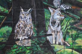 mural-detail-of-owl-coyote-skunk